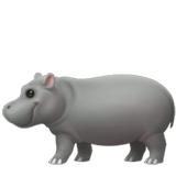 hippo